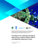 1st Meeting of RWG-P