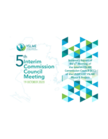 Summary Report of ICC-5